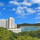 분당-94 이미지