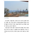 수정천 이미지