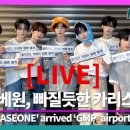 조각미인 이미지