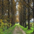 (주)회덕 이미지