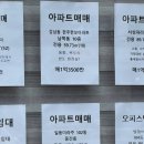 팔팔덤프 - 4696 | 차씹도 시민이던 내가 눈떠보니 부산 갈매기?!