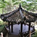 느티정 마을회관 | 함양 힐링 명소 / 선비문화탐방로 1코스(거연정~농월정) 산책