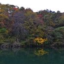 DMZ, 평화의 편지 이미지