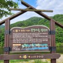 노일리(구룡밭) Daum카페