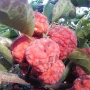 귀농인지원자금.귀농인사업자금.귀농자인재개발원.도시민농업창업과정. 이미지