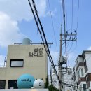 동문굿모닝약국 | [서울종로/광장시장] 원조순희내빈대떡 육회까지맛집 인정