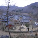 백옥 이미지