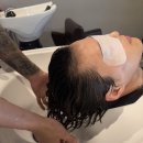 프링헤어 이미지