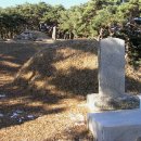 삼한국대부인순흥안씨묘 이미지