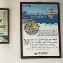 굴세상목천점