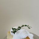 바닐라파레트