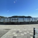 진동식당 이미지