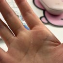 성실유통 | [한 주 기록하기] 하루하루 성실하게, 인생 전체는 되는대로