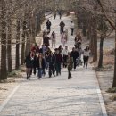 영주 순흥 벽화 고분 | 영주 순흥 벽화고분 활용 사업 상반기 결산 1.