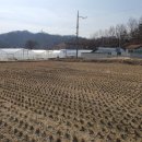 용지농장 이미지