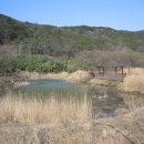 서울사대내과의원 이미지