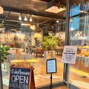 에델바움 이미지