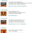 운동요법 이미지