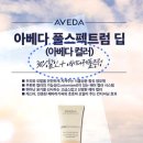 살롱디 이미지