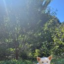 화목농자재 이미지