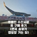 주문진 수산시장 회 포장 튀김 구매 후기 강릉 안녕하새우 추천