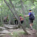 관음2리 이미지