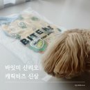 바잇미 산리오캐릭터즈 콜라보 버그쉴드 쿨베스트 솔직후기