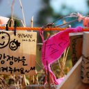 평화의 마을 이미지