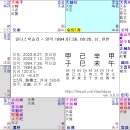 대체요법으로 시력이(약 10년간) 회복되다. 이미지