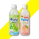 페트코코 이미지