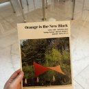 오렌지빈티지 | 힙노타이즈 윙타프 빈티지 오렌지 컬러 언박싱 피칭 후기