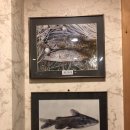 쏘갈매운탕 이미지