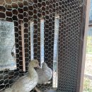 무룡농장 이미지