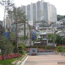 서원블루오션D 이미지