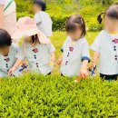 시립목감어울림어린이집 이미지