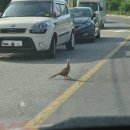 달천교 옆 이미지