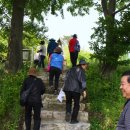남궁내과의원 Daum카페