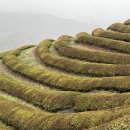 하동 10경 토지문학제 디카시 공모 대상작품 이미지
