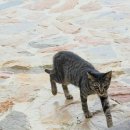 구봉도 비치타운 | 대부도 갈만한 곳｜발리다 카페 솔직후기 (영업시간·주차·메뉴 추천)