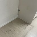 입주청소 추천! 구석구석 이용 후기 (내돈내산)
