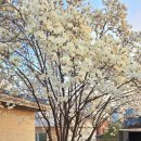 당달 아카데미 이미지