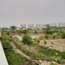 회춘당약국 이미지