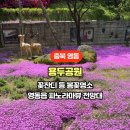 용두공원로 네이버블로그