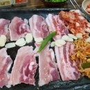 돈마적
