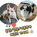 올가스킨 헤어 이미지