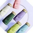 포레스타 이미지