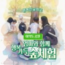 여의도유아숲 | 여의도공원 숲체험 후기 아이보다 엄마가 더 행복했던 시간