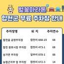 벚꽃약국 이미지