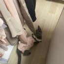 모두애동물병원 이미지