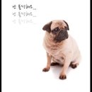 은혜충전소 이미지